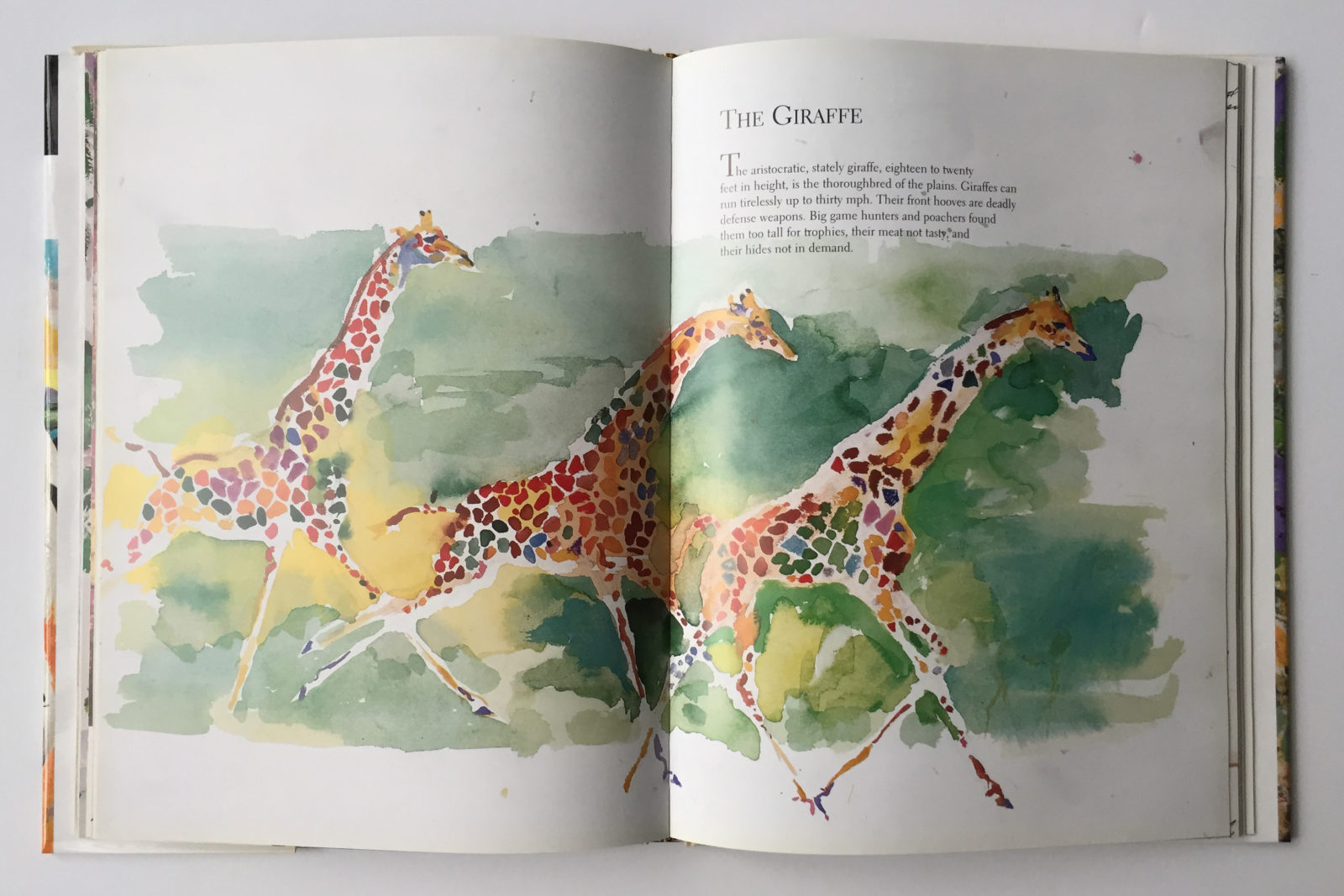 Art work from, LeRoy Neiman on Safari book
